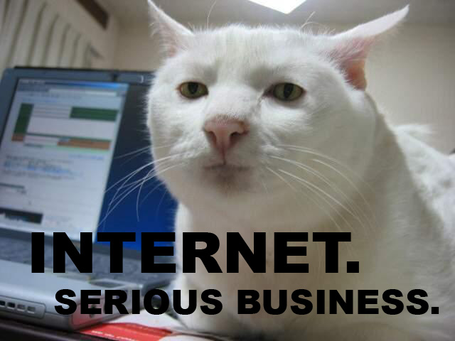 image: internet-serious-business-cat